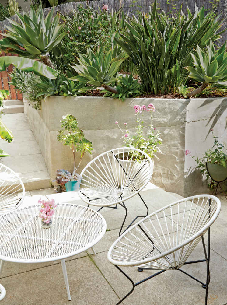 SMALL FOOTPRINTS. The selection of greenery planted here is smart on two fronts: it’s easy to care for, yes, but each plant was also selected for its small trunk and large leaves, which make the garden feel more lush.