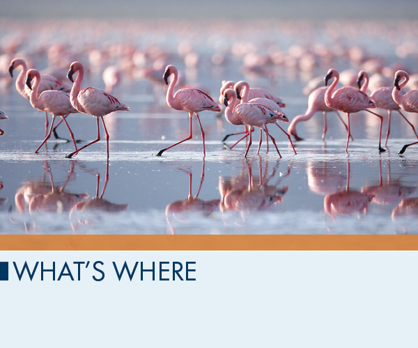 What’s Where