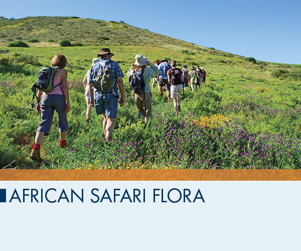 African Safari Flora