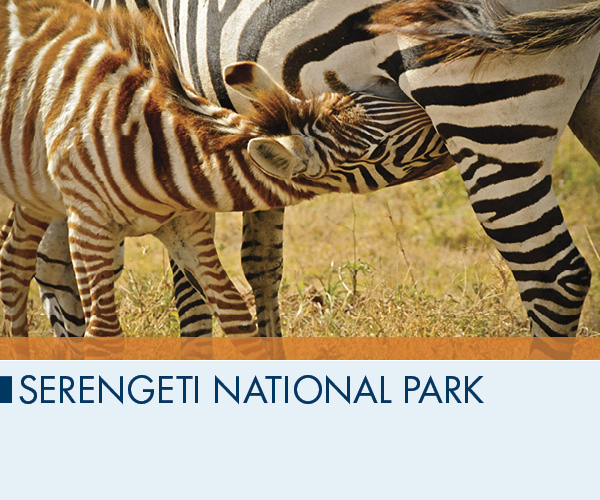 Serengeti National Park