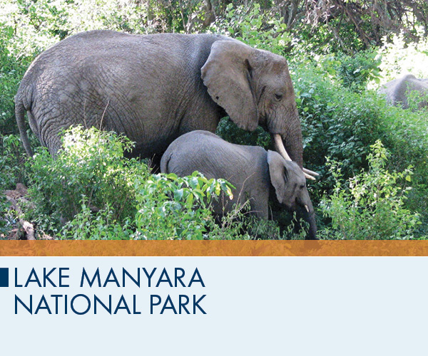 Lake Manyara National Park