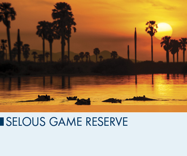 Selous Game Reserve