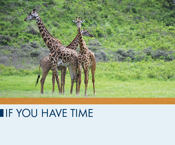 If You Have Time