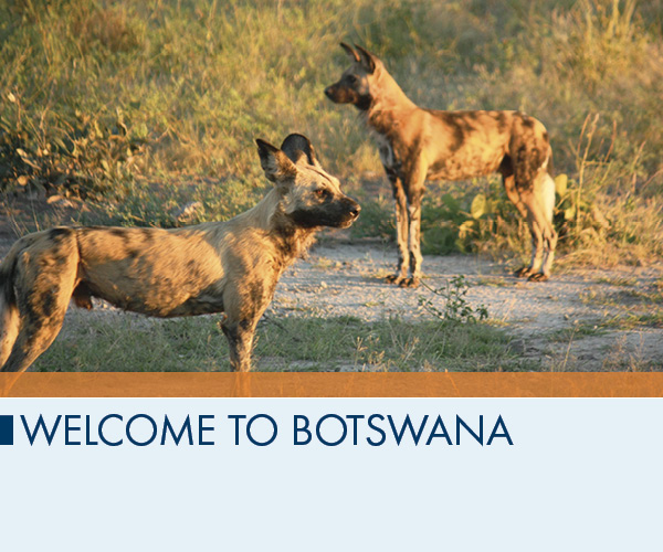 Welcome to Botswana