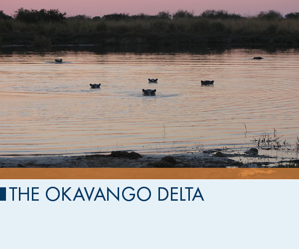 The Okavango Delta