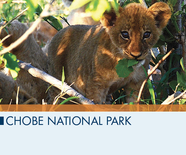 Chobe National Park