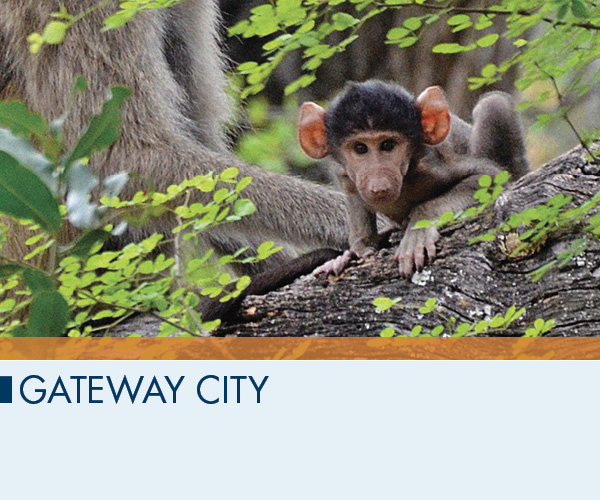 Gateway City
