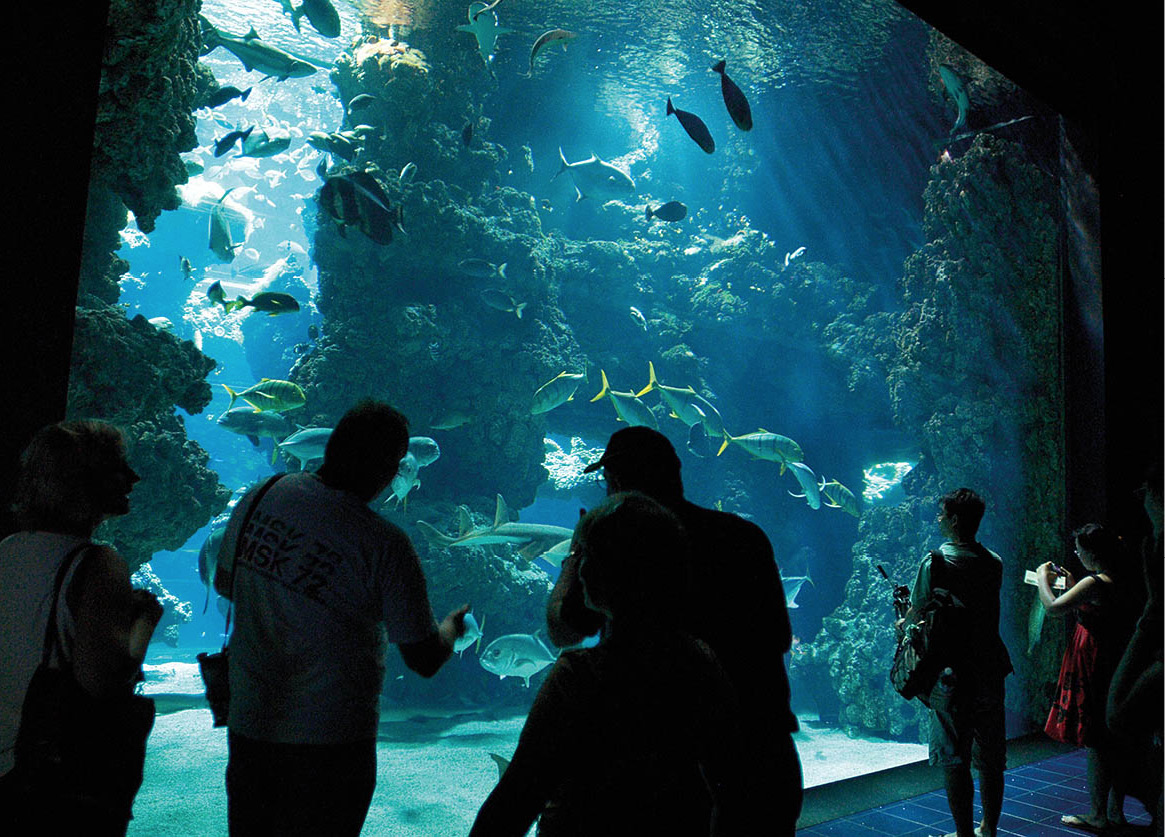 monaco_aquarium_DSC8035_NiceAndTheFrenchRiviera_EC