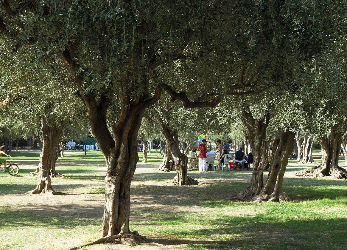 _DSC7518_NiceAndTheFrenchRiviera_EC