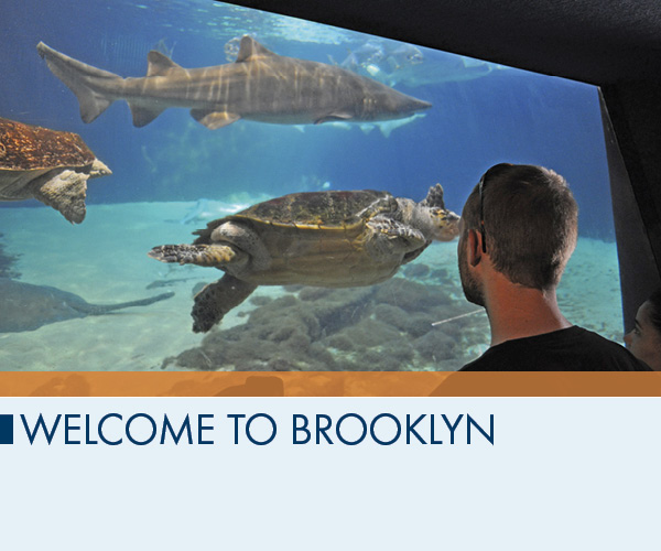 Welcome to Brooklyn
