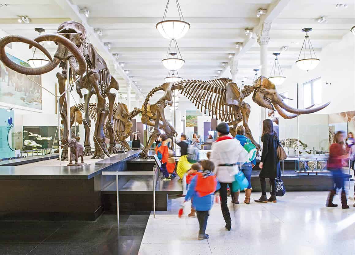AmericanMuseumOfNaturalHistory_MarleyWhite_9593_NewYorkX_EC