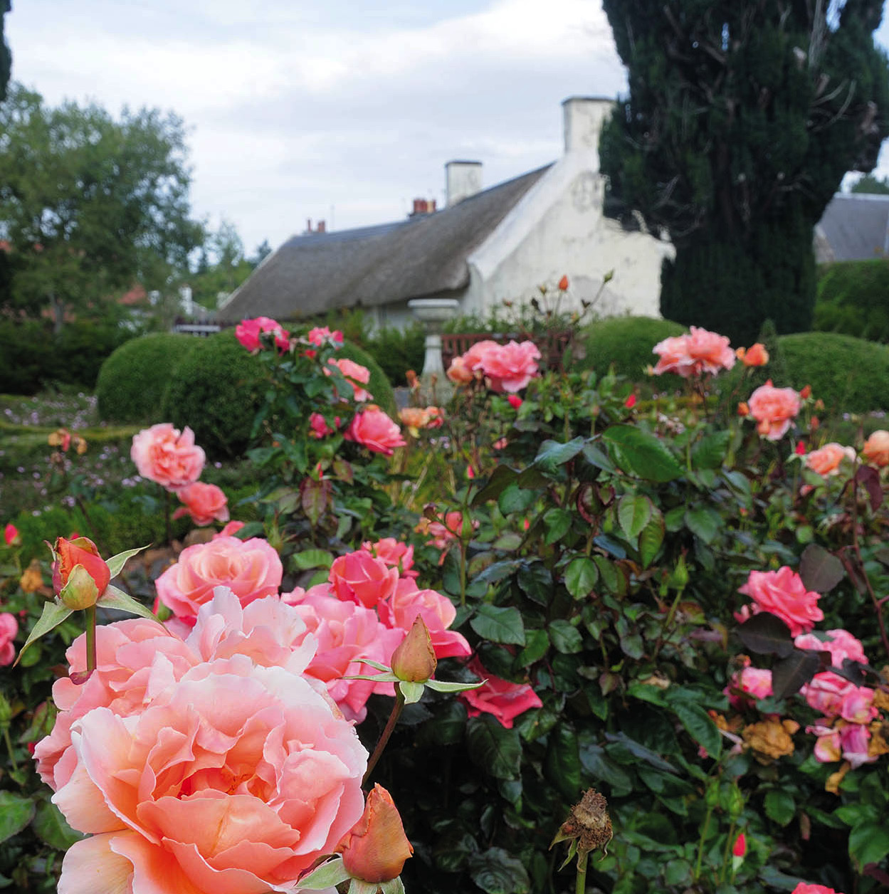 GTour12_029_Scotland_EC