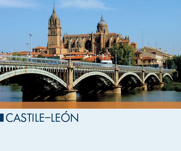 Castile-Le&oacute;n