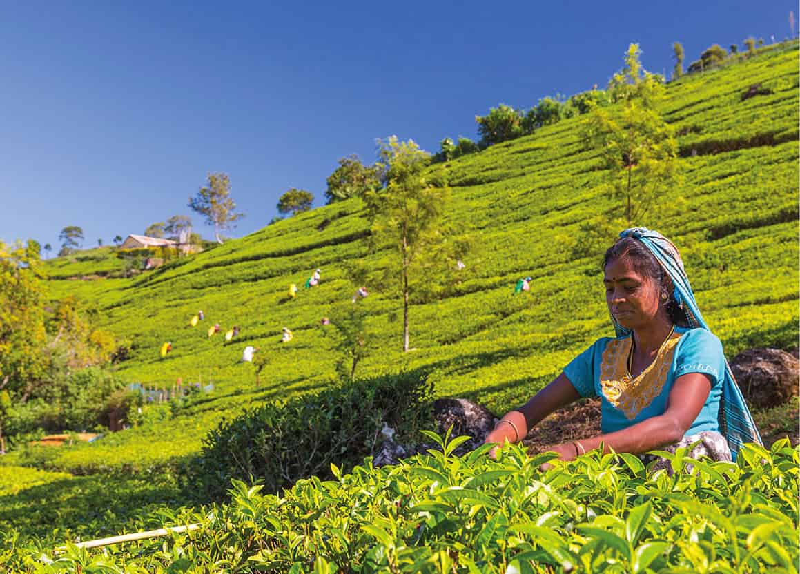 GettyImages-545598997_SriLanka_EC