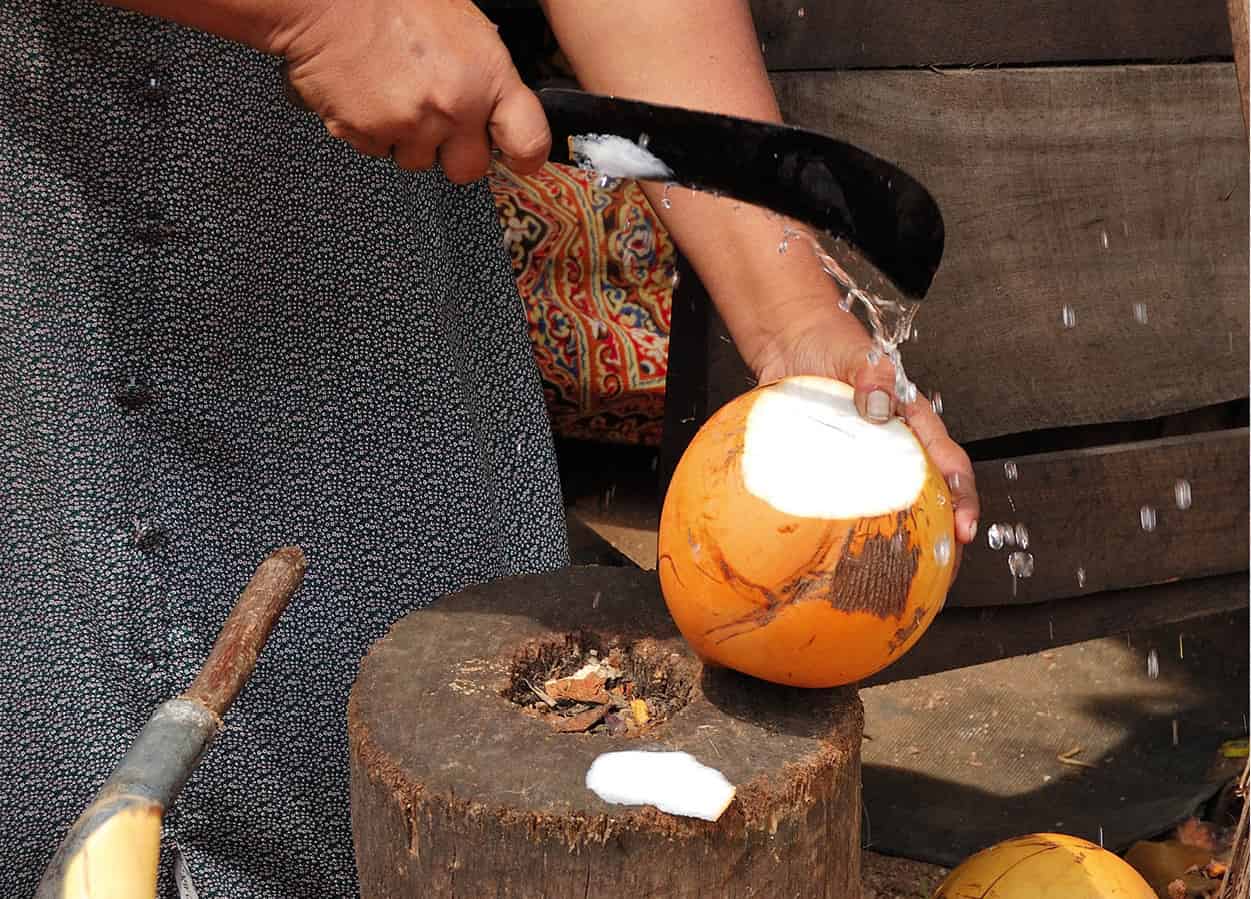 bigstock-Women-Selling-Fruits-Of-Coconu-43580698_SriLanka_EC