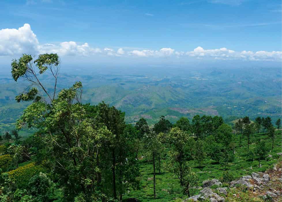 3856814520_indi_ca_o_SriLanka_EC