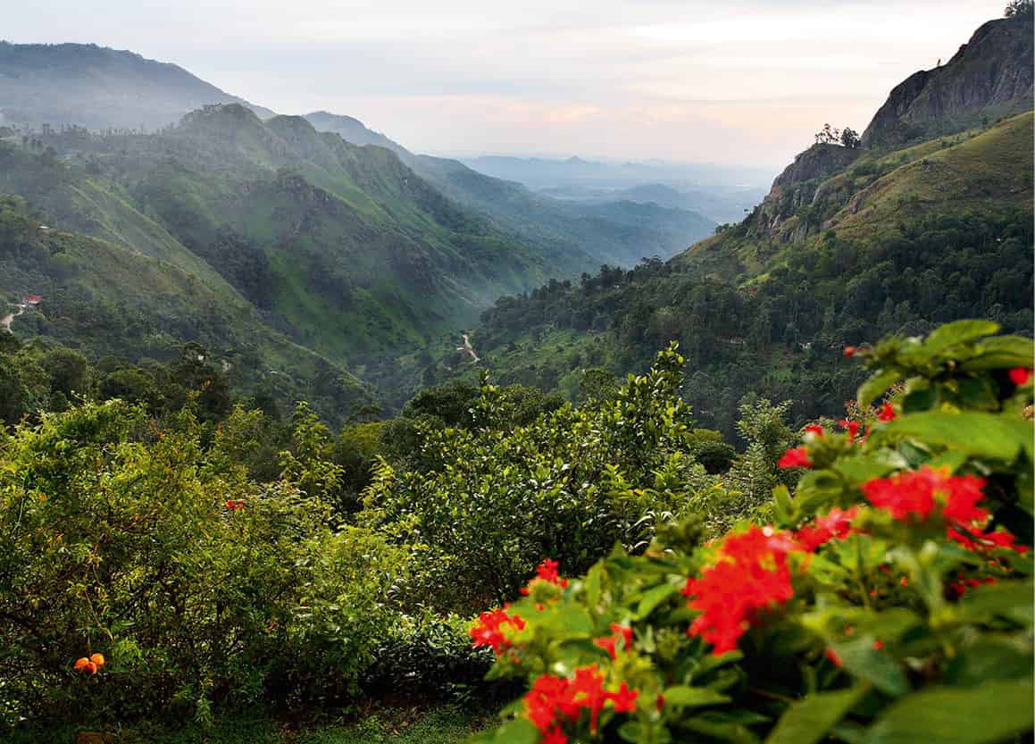 A3D5HJ_SriLanka_EC