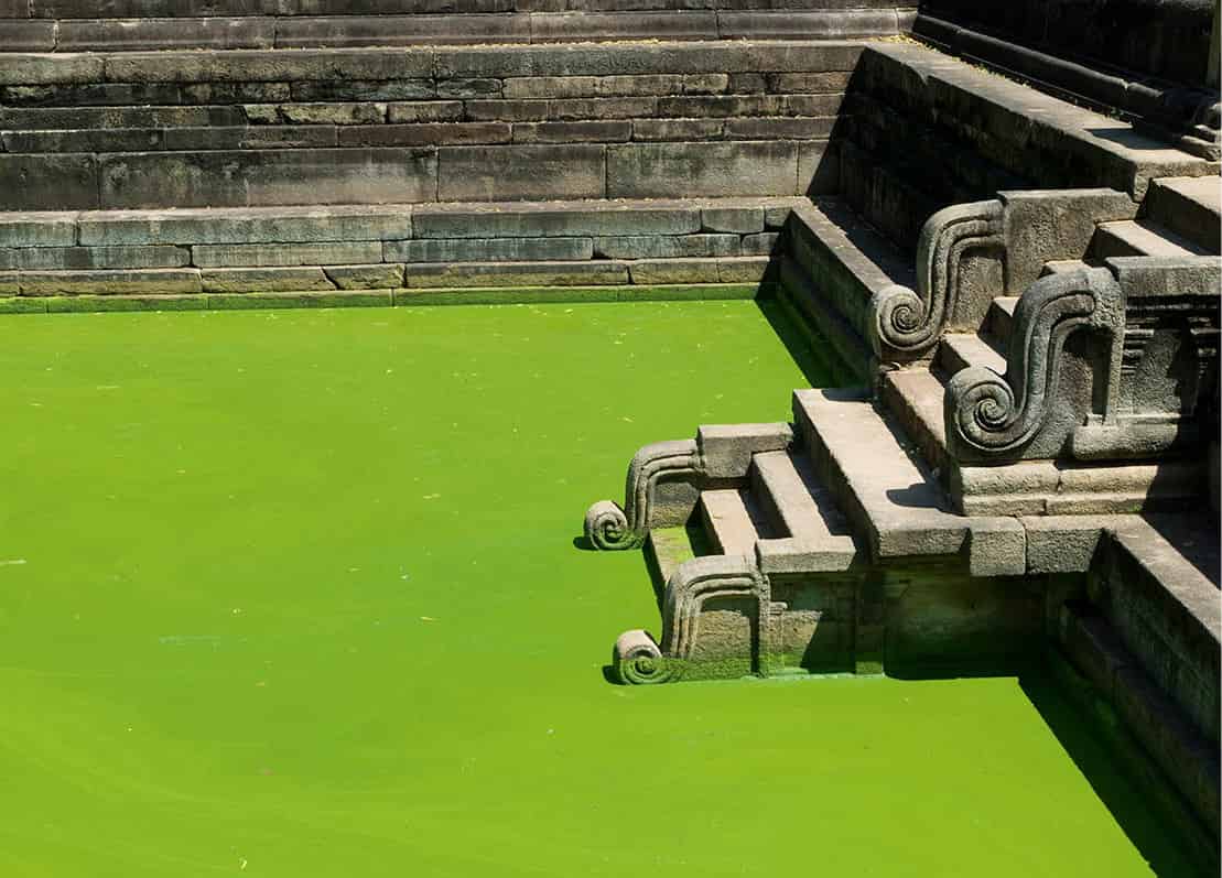 Anuradhapura-5386_SriLanka_EC