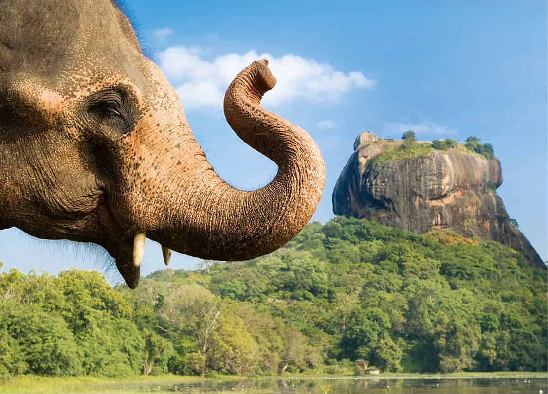 POLONNARUWA_SIGIRYIA-4692_SriLanka_EC