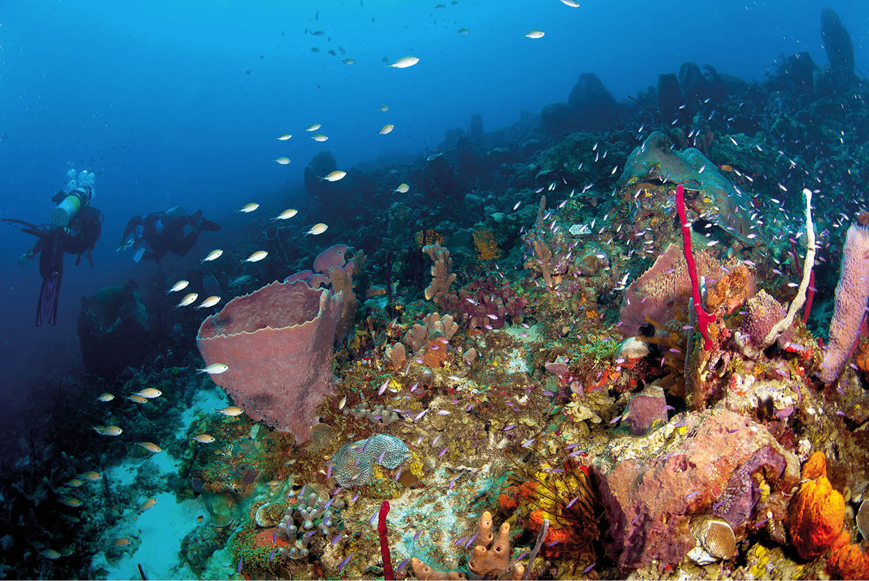 iStock_000023649064_Large_StLucia_EC