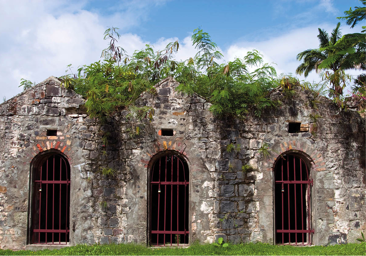 iStock_000016395390_Large_StLucia_EC