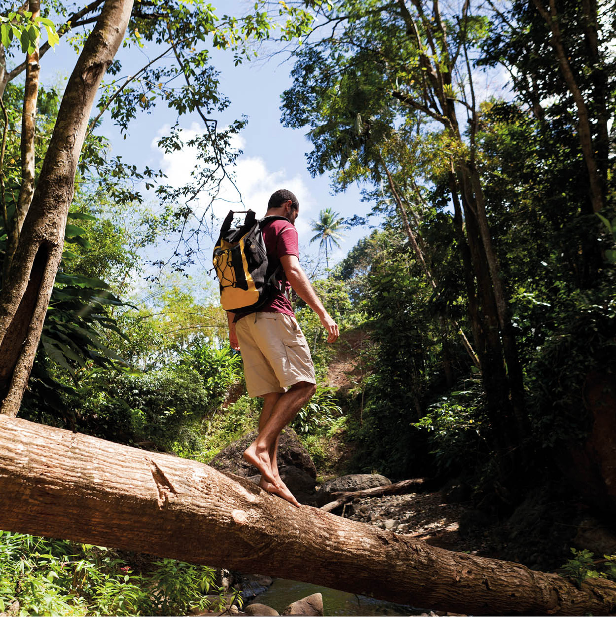 iStock_000019804923_Large_StLucia_EC
